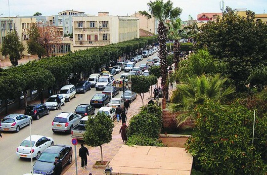 Chlef : Le stationnement prolongé aggrave  le problème de circulation