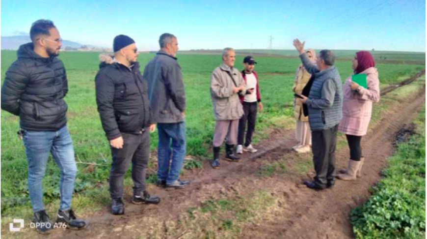 Stockage de céréales : Un silo stratégique à Berrahal (Annaba)