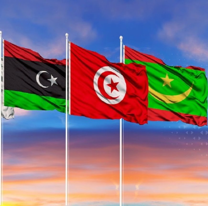 Présidence de l’Algérie au conseil de sécurité: Soutien total de la Tunisie, de la Libye et de la Mauritanie