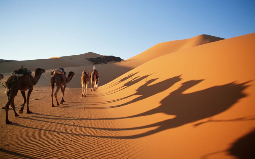 Tourisme saharien : Taghit, Ghardaïa, Djanet et Illizi ont enregistré une affluence importante de touristes