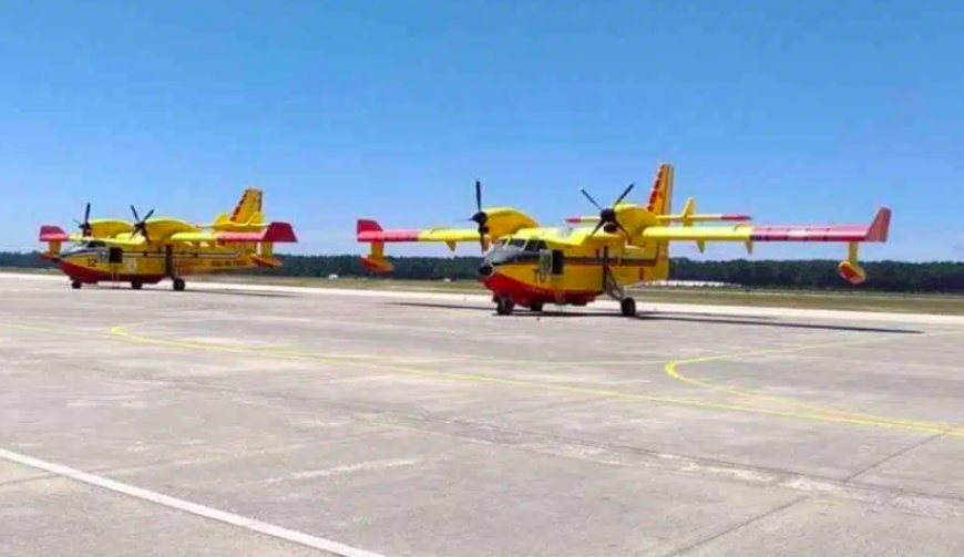 Guelma : Lutte contre les incendies : L’aérodrome de Belkheir sera réhabilité